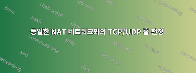 동일한 NAT 네트워크와의 TCP/UDP 홀 펀칭