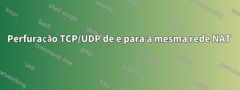 Perfuração TCP/UDP de e para a mesma rede NAT