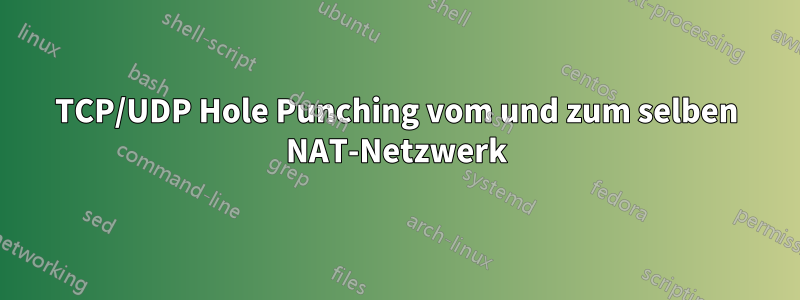 TCP/UDP Hole Punching vom und zum selben NAT-Netzwerk