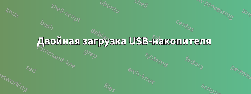 Двойная загрузка USB-накопителя