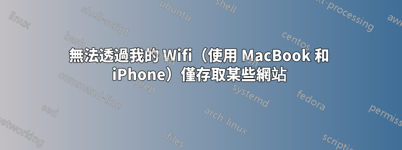 無法透過我的 Wifi（使用 MacBook 和 iPhone）僅存取某些網站