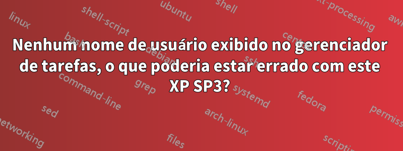 Nenhum nome de usuário exibido no gerenciador de tarefas, o que poderia estar errado com este XP SP3?