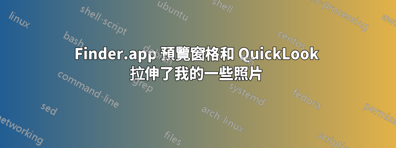 Finder.app 預覽窗格和 QuickLook 拉伸了我的一些照片