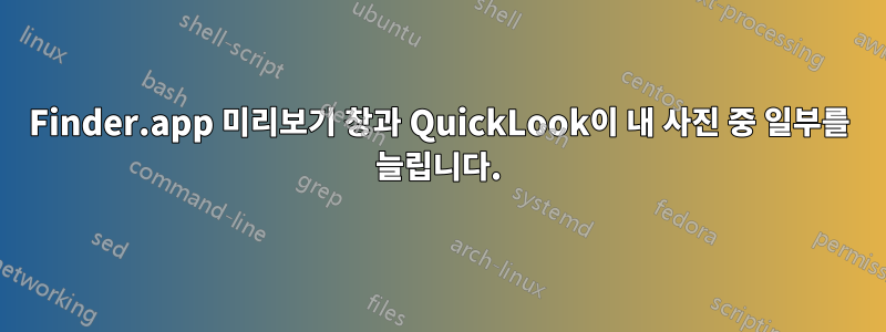 Finder.app 미리보기 창과 QuickLook이 내 사진 중 일부를 늘립니다.