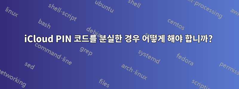 iCloud PIN 코드를 분실한 경우 어떻게 해야 합니까?