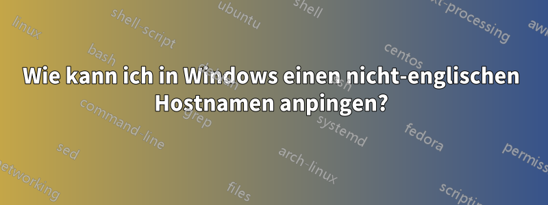 Wie kann ich in Windows einen nicht-englischen Hostnamen anpingen?