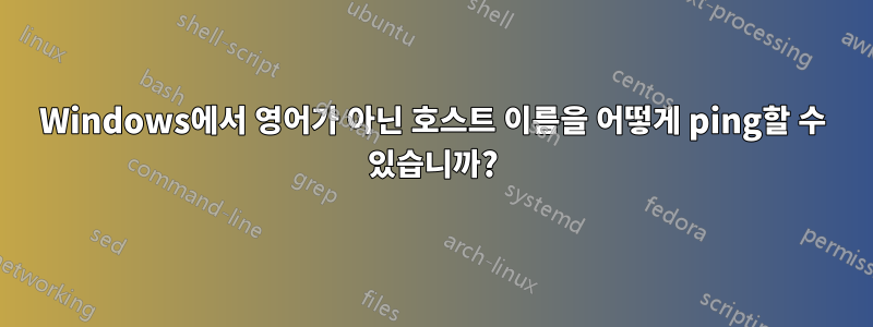 Windows에서 영어가 아닌 호스트 이름을 어떻게 ping할 수 있습니까?