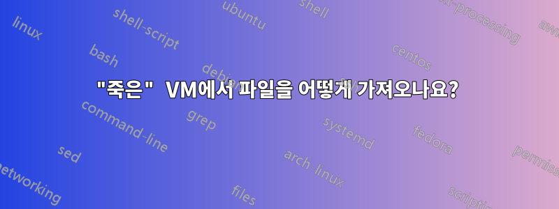 "죽은" VM에서 파일을 어떻게 가져오나요?