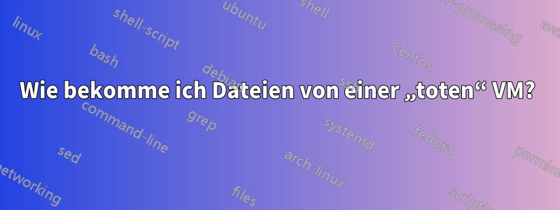 Wie bekomme ich Dateien von einer „toten“ VM?