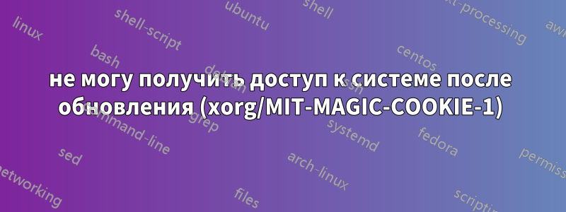 не могу получить доступ к системе после обновления (xorg/MIT-MAGIC-COOKIE-1)