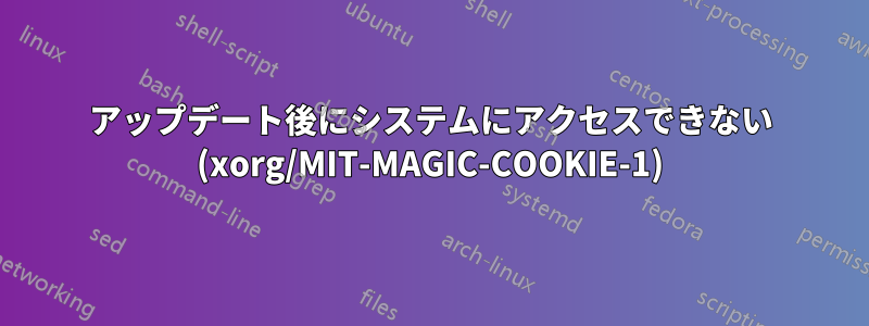 アップデート後にシステムにアクセスできない (xorg/MIT-MAGIC-COOKIE-1)