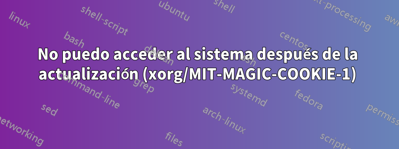 No puedo acceder al sistema después de la actualización (xorg/MIT-MAGIC-COOKIE-1)