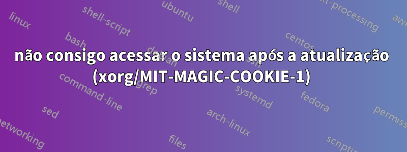 não consigo acessar o sistema após a atualização (xorg/MIT-MAGIC-COOKIE-1)