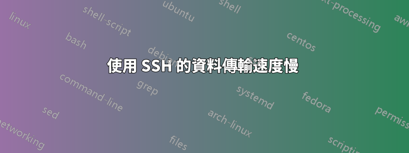 使用 SSH 的資料傳輸速度慢