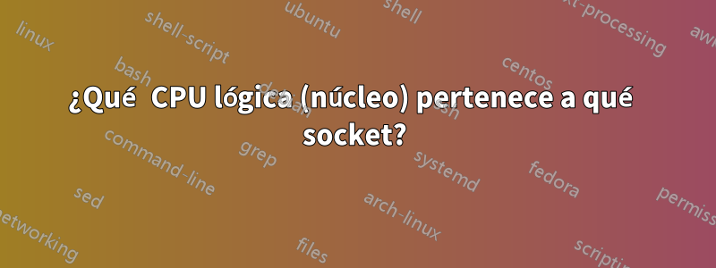 ¿Qué CPU lógica (núcleo) pertenece a qué socket?