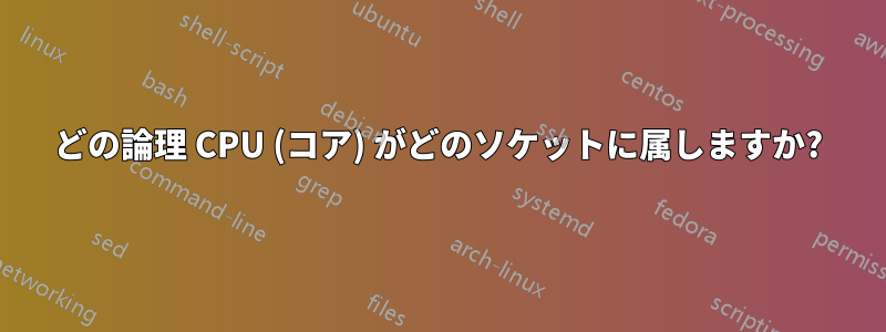 どの論理 CPU (コア) がどのソケットに属しますか?