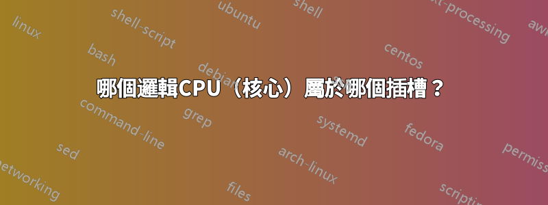 哪個邏輯CPU（核心）屬於哪個插槽？