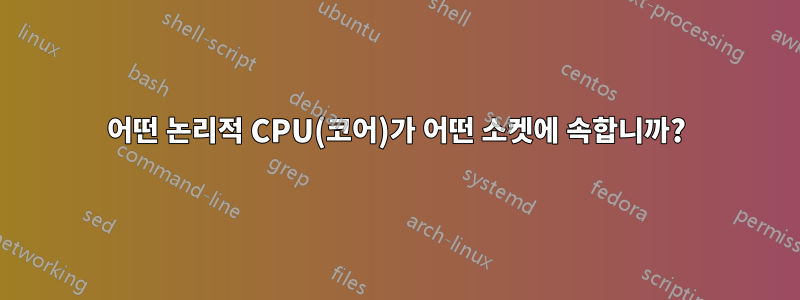 어떤 논리적 CPU(코어)가 어떤 소켓에 속합니까?