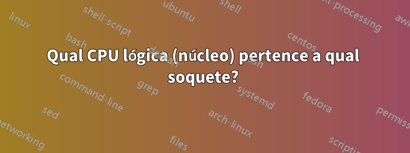 Qual CPU lógica (núcleo) pertence a qual soquete?