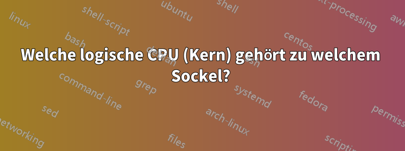 Welche logische CPU (Kern) gehört zu welchem ​​Sockel?