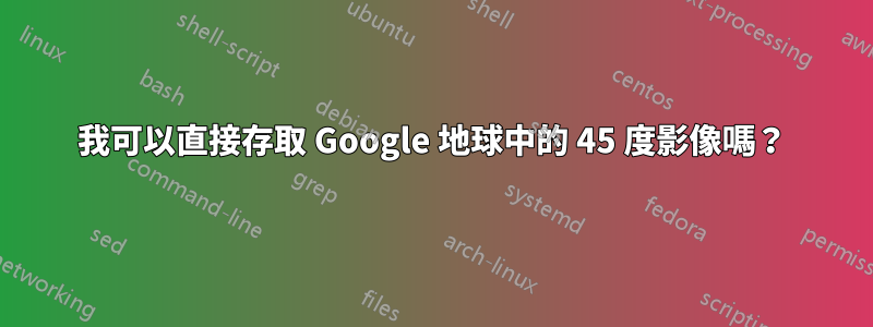 我可以直接存取 Google 地球中的 45 度影像嗎？