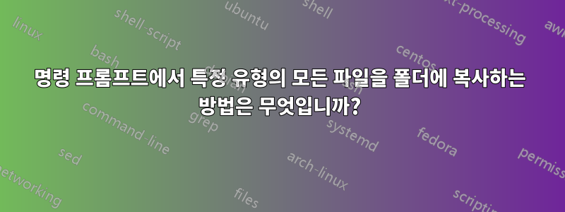 명령 프롬프트에서 특정 유형의 모든 파일을 폴더에 복사하는 방법은 무엇입니까?