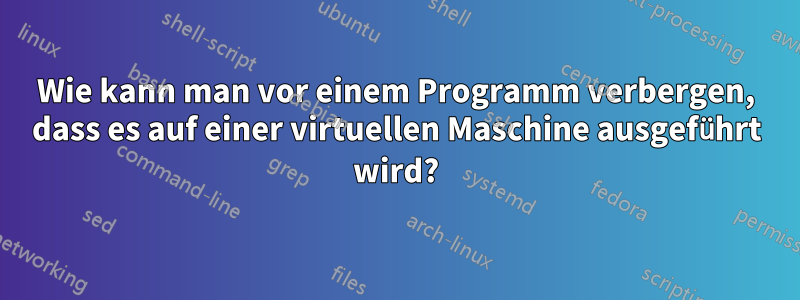 Wie kann man vor einem Programm verbergen, dass es auf einer virtuellen Maschine ausgeführt wird?