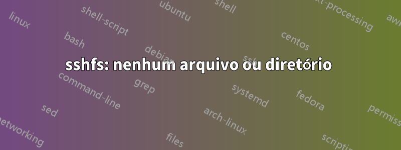 sshfs: nenhum arquivo ou diretório