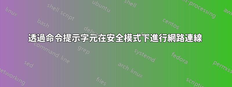 透過命令提示字元在安全模式下進行網路連線