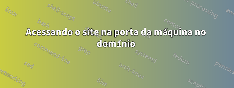 Acessando o site na porta da máquina no domínio