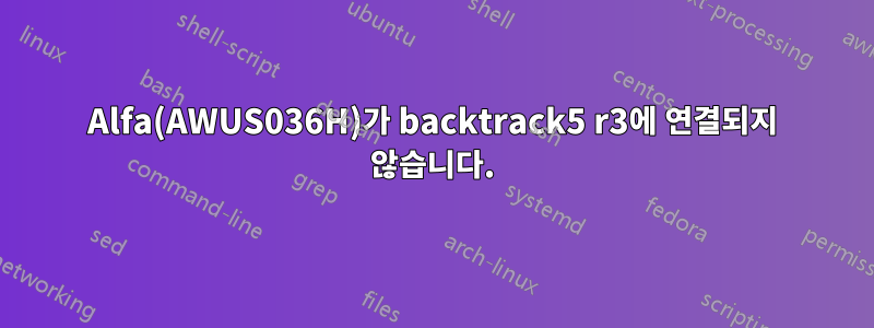 Alfa(AWUS036H)가 backtrack5 r3에 연결되지 않습니다.