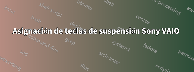 Asignación de teclas de suspensión Sony VAIO