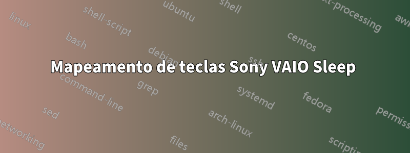 Mapeamento de teclas Sony VAIO Sleep