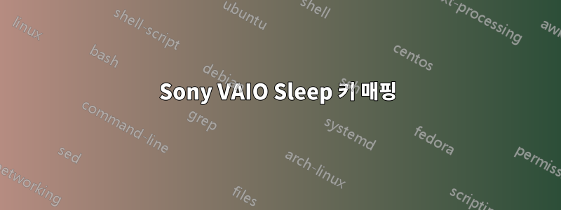 Sony VAIO Sleep 키 매핑