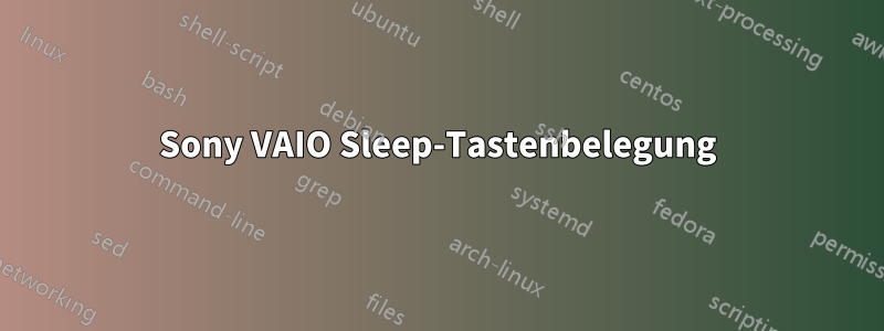 Sony VAIO Sleep-Tastenbelegung