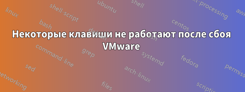 Некоторые клавиши не работают после сбоя VMware