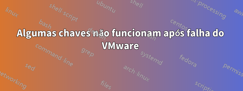 Algumas chaves não funcionam após falha do VMware