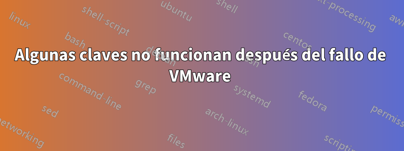 Algunas claves no funcionan después del fallo de VMware