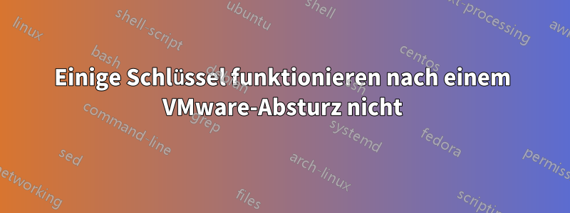 Einige Schlüssel funktionieren nach einem VMware-Absturz nicht
