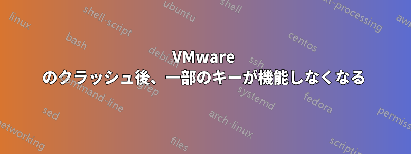 VMware のクラッシュ後、一部のキーが機能しなくなる