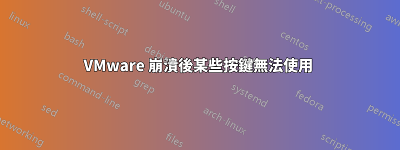 VMware 崩潰後某些按鍵無法使用