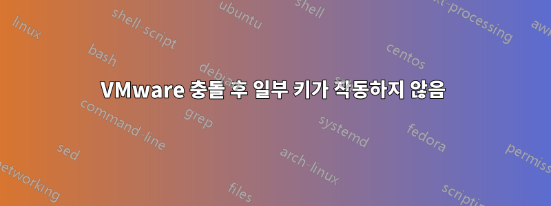 VMware 충돌 후 일부 키가 작동하지 않음
