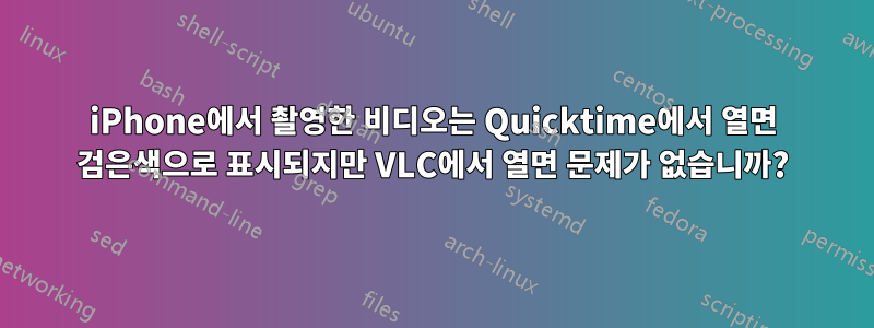 iPhone에서 촬영한 비디오는 Quicktime에서 열면 검은색으로 표시되지만 VLC에서 열면 문제가 없습니까?