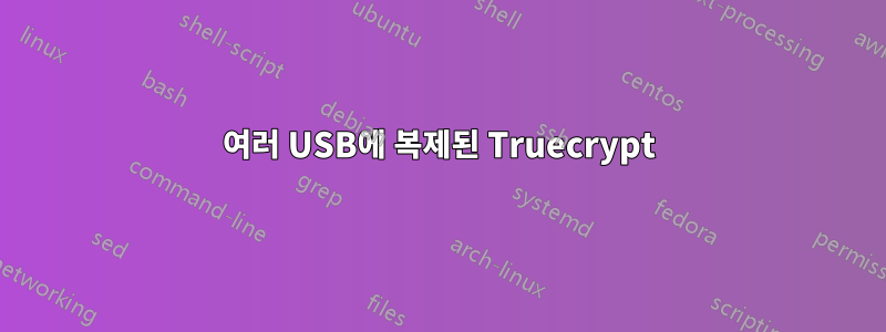 여러 USB에 복제된 Truecrypt