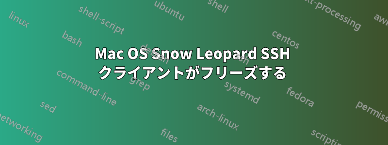 Mac OS Snow Leopard SSH クライアントがフリーズする