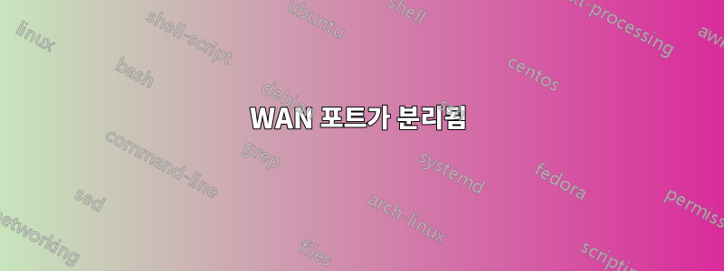 WAN 포트가 분리됨