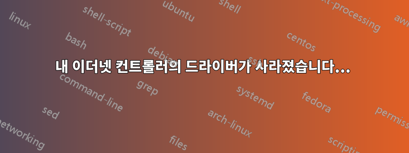 내 이더넷 컨트롤러의 드라이버가 사라졌습니다...