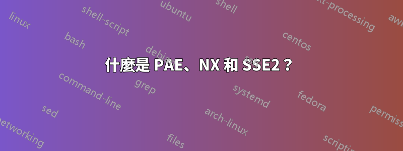 什麼是 PAE、NX 和 SSE2？
