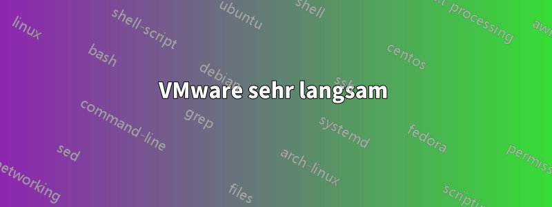 VMware sehr langsam