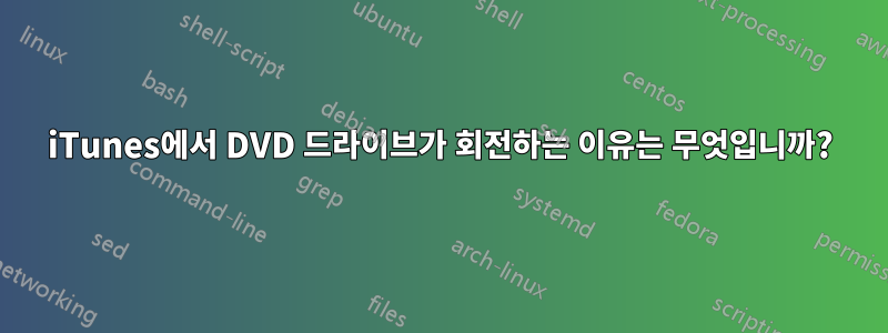 iTunes에서 DVD 드라이브가 회전하는 이유는 무엇입니까?